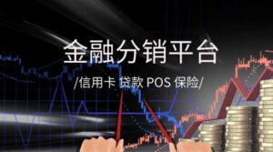 信用卡贷款POS机推广代办返佣平台_网申自动结算_办信用卡赚佣金