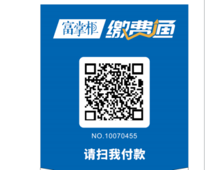 远程收款码平台哪个最好?(稳定线上收款码)